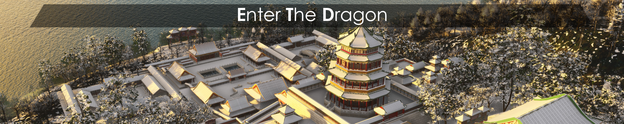 Enter The Dragon