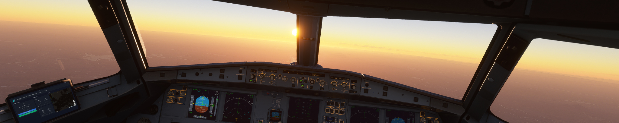 Fly UK 2024 Survey results